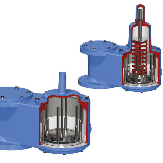 ANDERSON GREENWOOD Bottom Entry Vacuum Relief Valves Type 4110